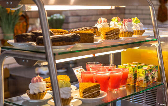 Гостиница Гранат Адлер-219