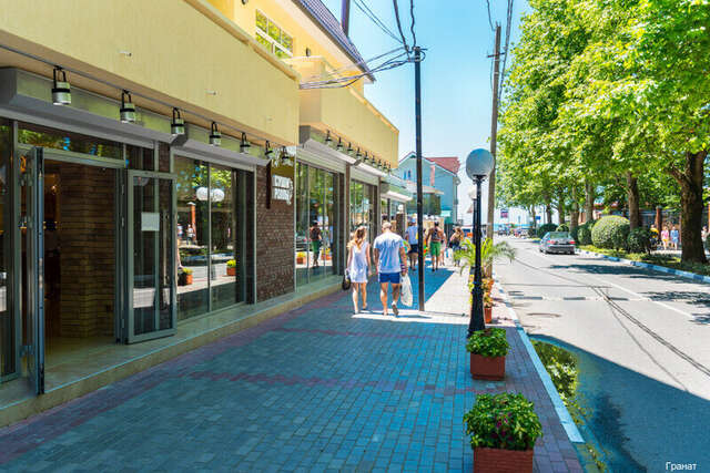 Гостиница Гранат Адлер-209