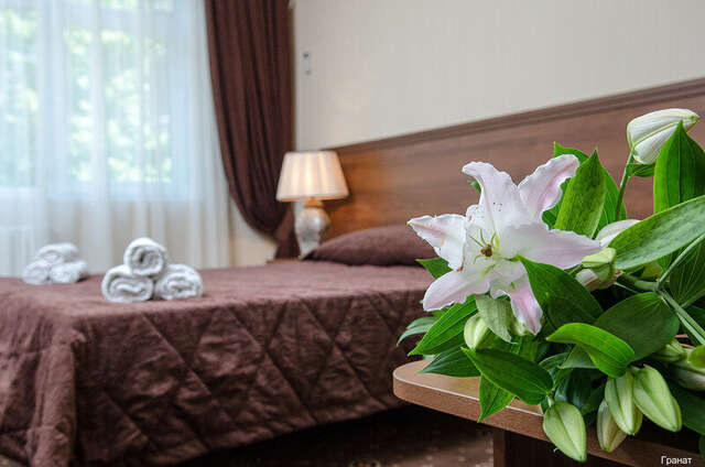 Гостиница Гранат Адлер-237