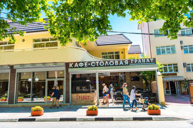 Гостиница Гранат Адлер-203