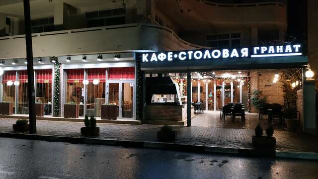 Гостиница Гранат Адлер-197