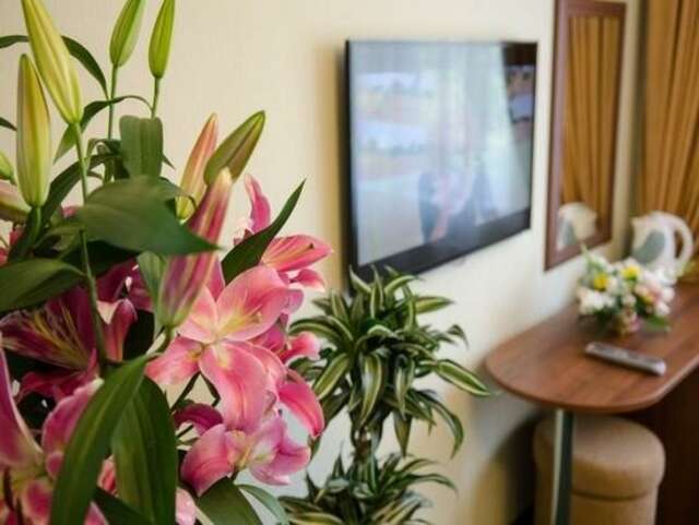 Гостиница Гранат Адлер-23